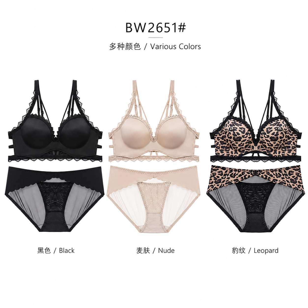 BW2651# 多色展示图