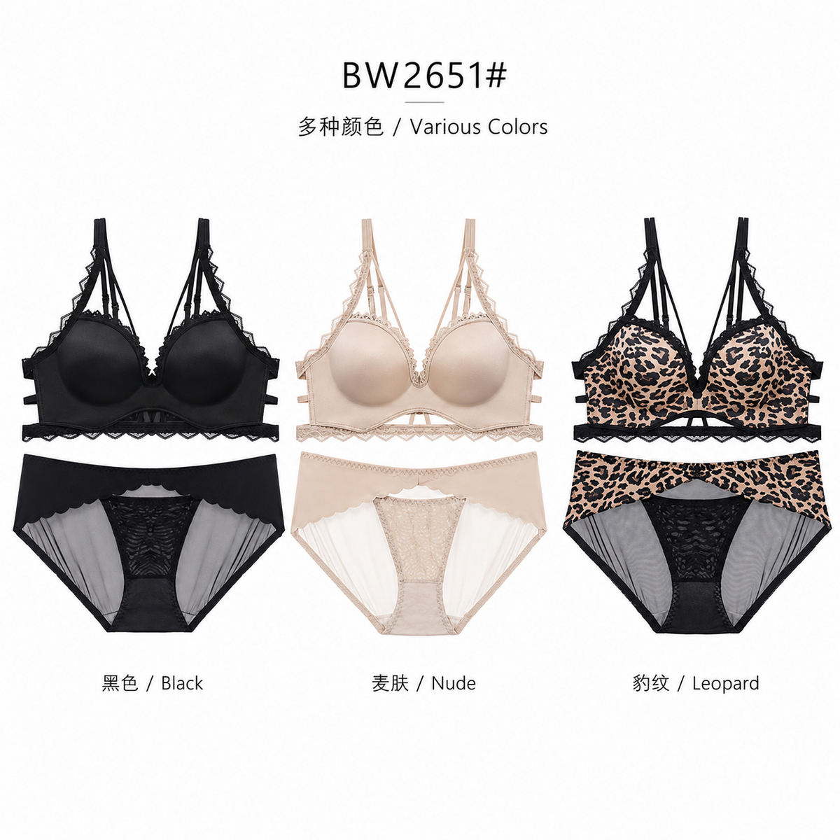 BW2651# 多色展示图